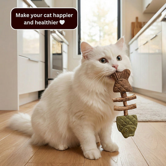 KittyChew – Silvervine Tuggpinnar med Kattmynta