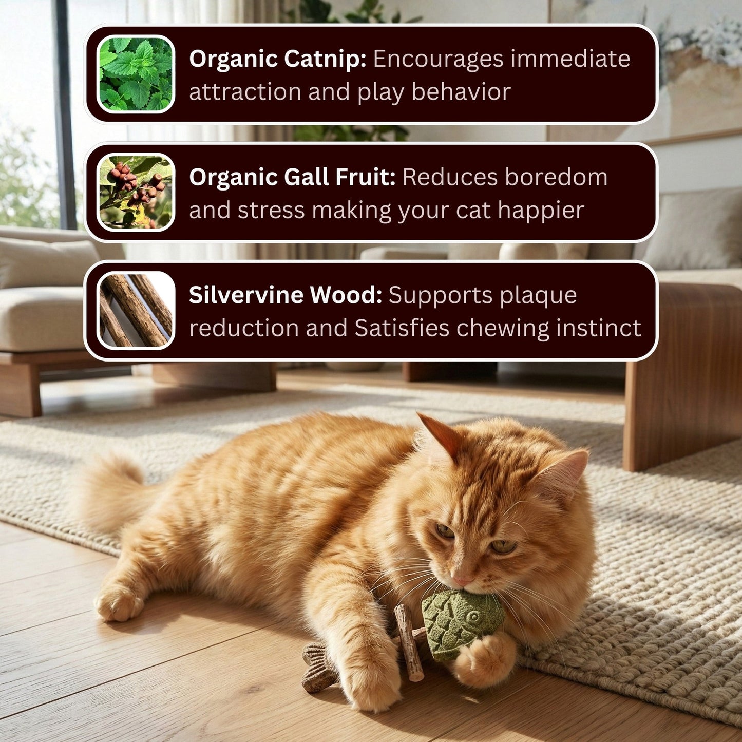 KittyChew – Silvervine Tuggpinnar med Kattmynta