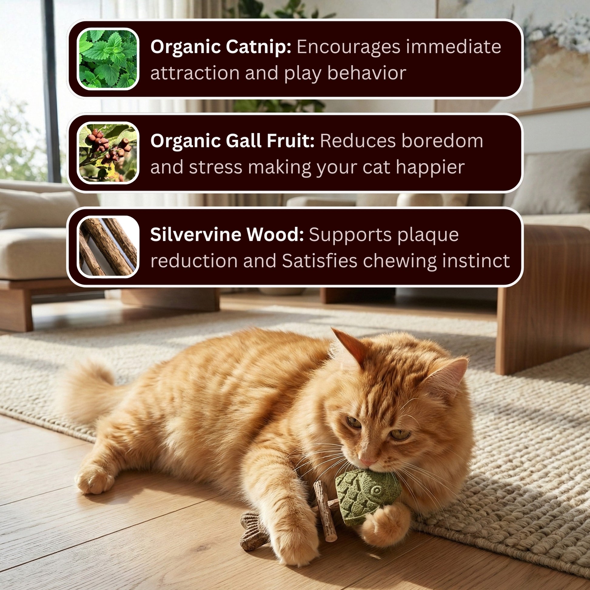 KittyChew – Silvervine Tuggpinnar med Kattmynta