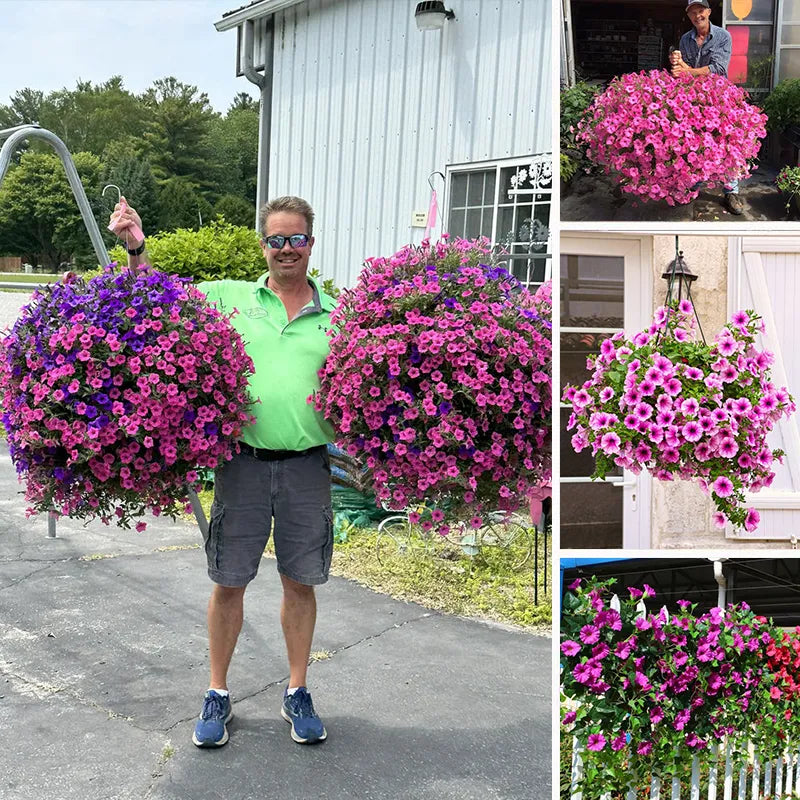 FloraVista - Livfulla konstgjorda hängande växter Blommor Korg